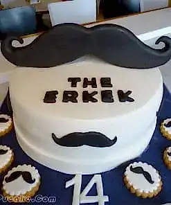 Alternative view of The Erkek