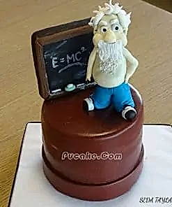 Albert Einstein Butik Pasta