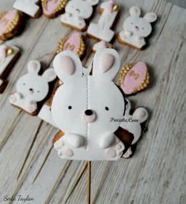 kurabiye-pucake-19