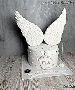 Alternative view of Melek Kanadı Pasta