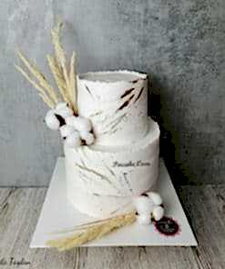Natural-Cake-Nisan-Pastasi