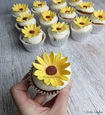 Papatya Cakepops Ankara