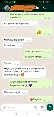 Pucake-Yorum-19