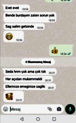 Pucake-Yorum-50